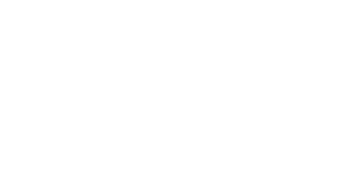 Lifetime Analytics